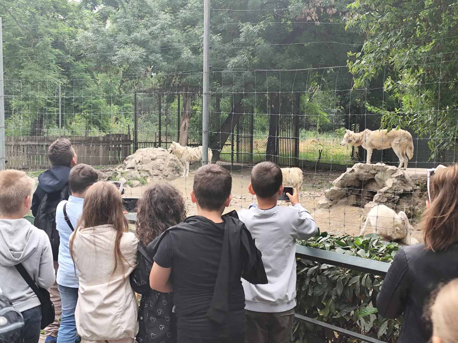 посета на Зоолошката градина во Скопје